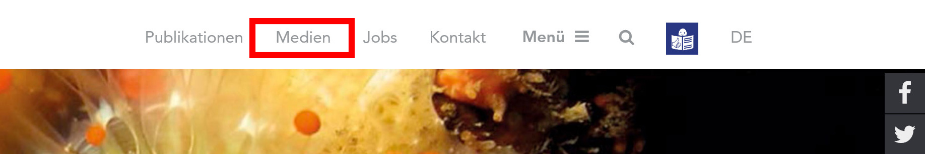 Bildschirmfoto der Kopfleiste der ZMT-Webseite mit roter Markierung bei Medien